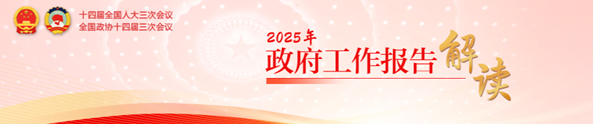 2025年政府工作报告解读