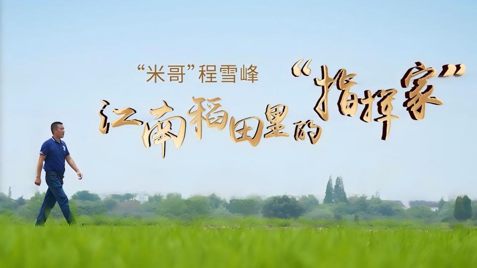 光芒·走访家乡的主角|“米哥”程雪峰：江南稻田里的“指挥家”