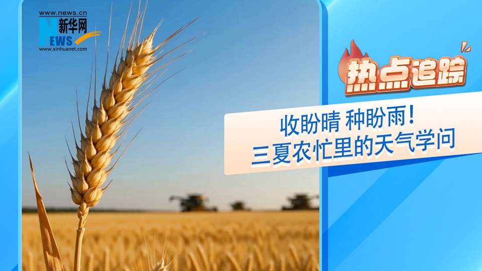热点追踪丨收盼晴 种盼雨！三夏农忙里的天气学问