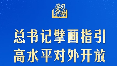 总书记擘画指引高水平对外开放