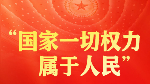 习近平总书记全过程人民民主重大理念的生动实践