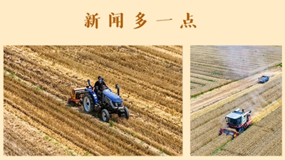 抓好“三夏”生产　夯实全年丰收根基