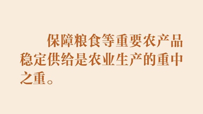 以扎实举措推进农业农村现代化