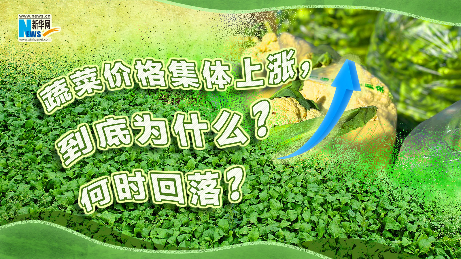 蔬菜价格集体上涨，到底为什么？何时回落？